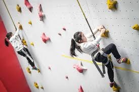 欧文助攻率创新高，全队配合默契